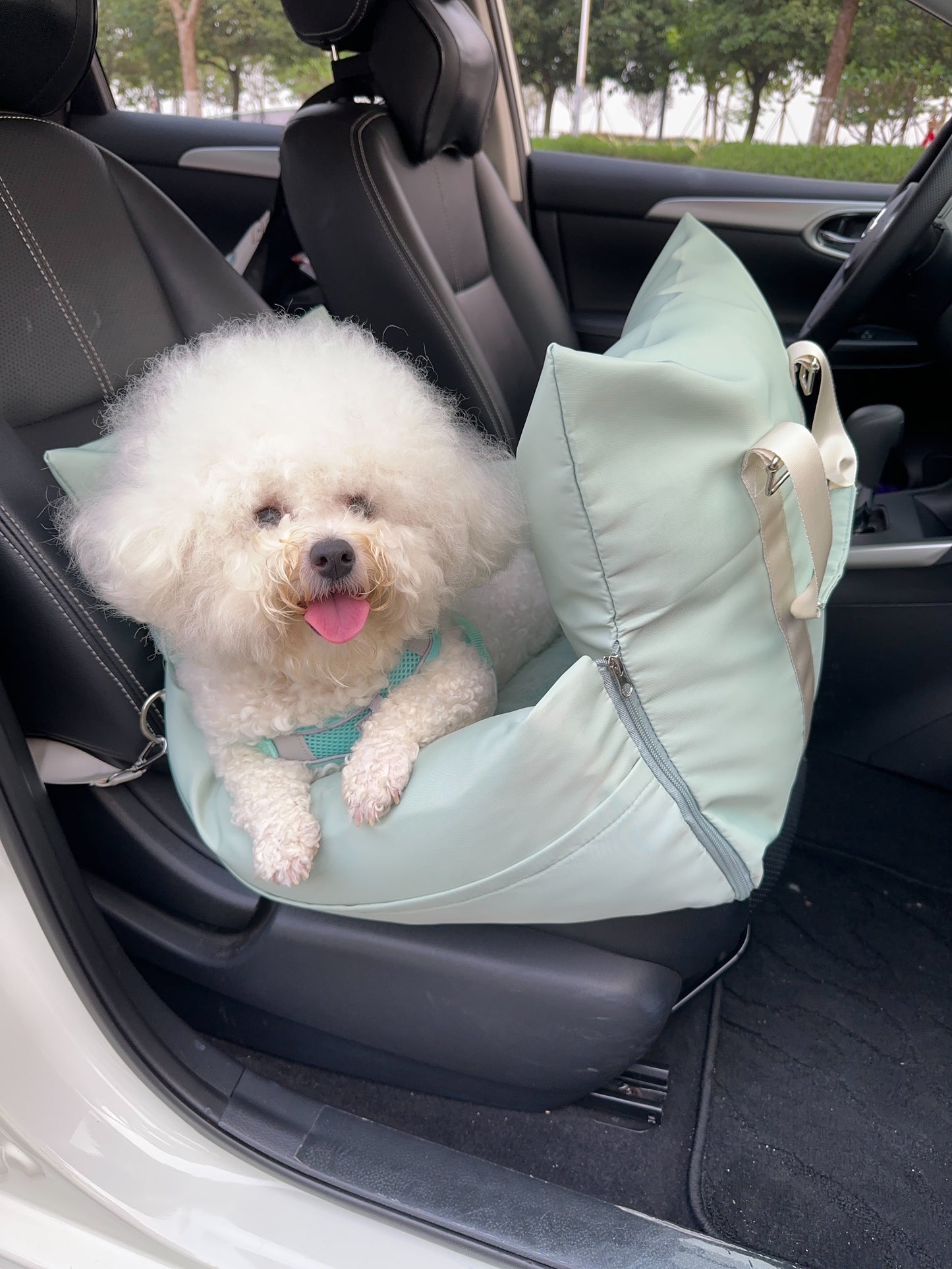 The Dog Car Seat™️